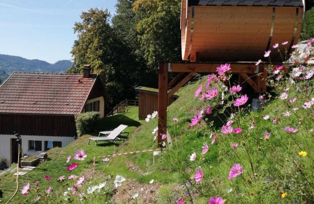 Hautes Vosges Le Ménil Chalet Avec Sauna Tonneau