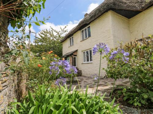 Cliff Cottage Brixham 