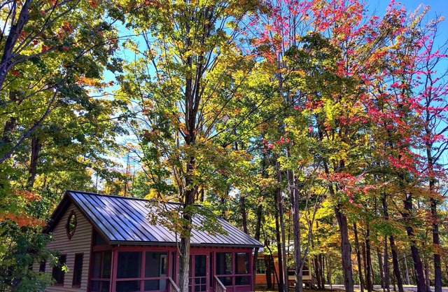 Heated Pool - Pool is open! Cottage #6 at DollyBrook just minutes from Saugatuck