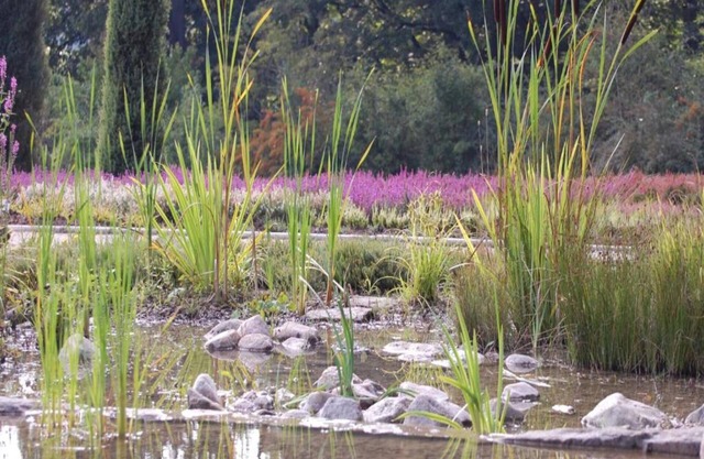 Heathland Comfort Stay