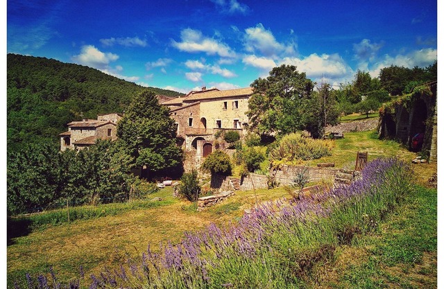 "Hélianthy" Gîte 10 pers. with swimming pool in a green setting in southern Ardèche