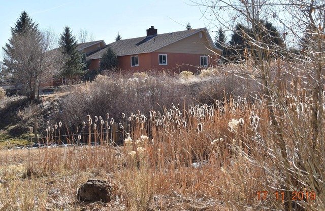 Heron's Landing: Walk to town from 17 acres of wildlife preserve