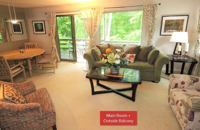 Hideaway condo, excellent layout, sleeps 10. Btwn Harbor Springs and Petoskey