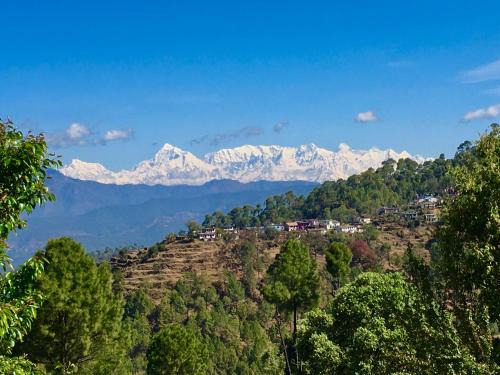 Himalaya View