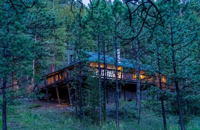 Historic mountain cabin|King bed|Fireplace