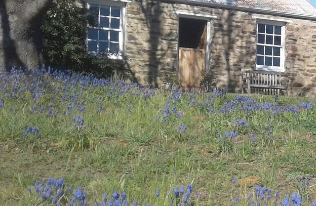 Historic stone cottage