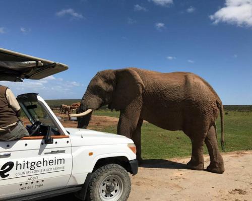 Hitgeheim Country Lodge Eco 