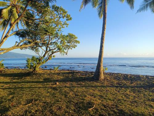 Hitira lodge presqu'île