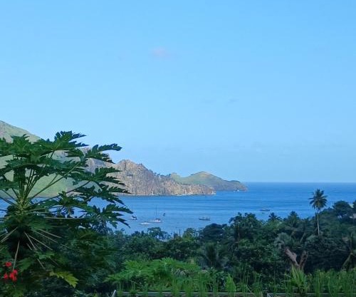 Hoakehu Lodge hoakua