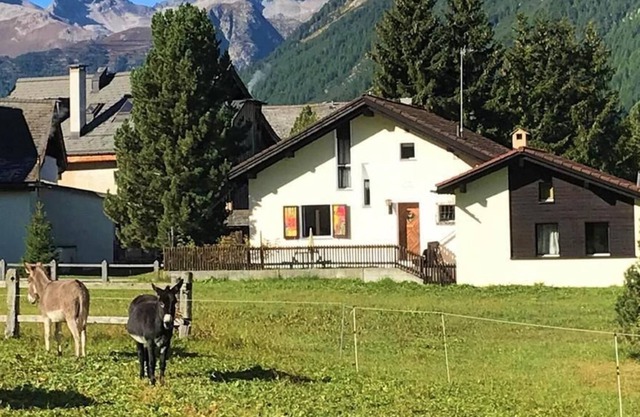 Holiday apartment La Punt-Chamues-ch for 2 persons with 1 bedroom - Holiday apartment