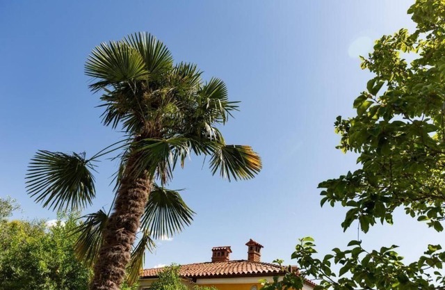 Holiday apartment Portoroz for 1 - 2 persons with 1 bedroom - Holiday apartment