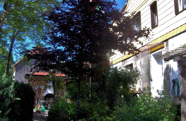Holiday apartment Tanne for 2 - 4 persons with 2 bedrooms - Holiday house