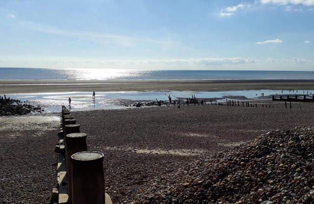 Holiday apartment Winchelsea for 1 - 6 persons with 2 bedrooms - Holiday apartment