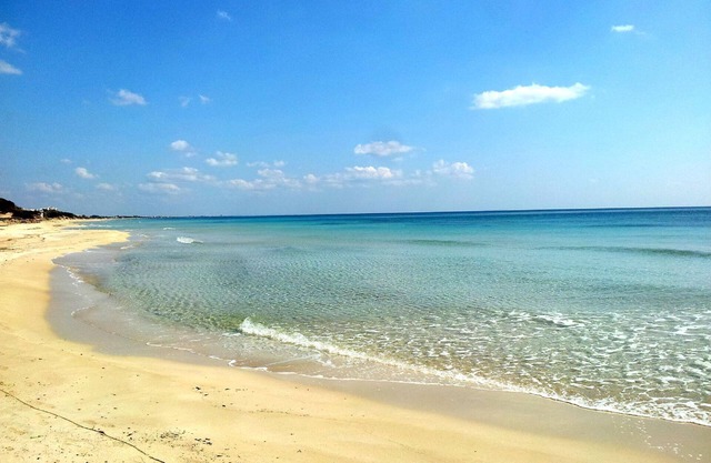 Holiday house San Pietro in Bevagna for 1 - 6 persons with 1 bedroom - Row house