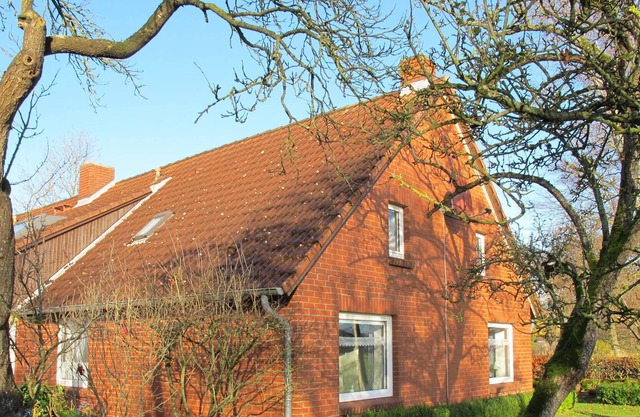 Holiday home for 6 guests with 100m² in the north of Osteel (162376)