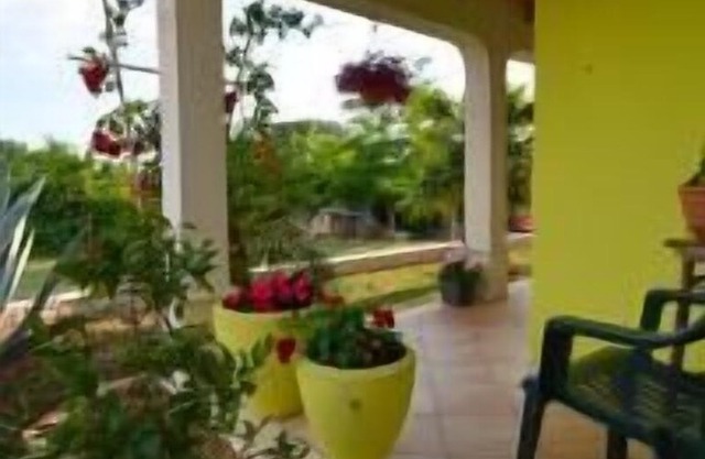 Holiday house Buje for 1 - 8 persons with 3 bedrooms - Holiday home