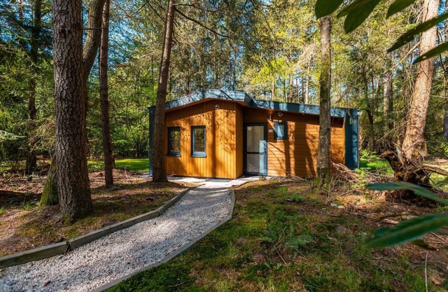 Holiday house Ruinen for 1 - 6 persons with 3 bedrooms - Holiday home