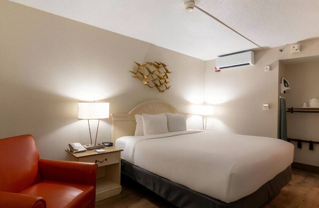 Homey King Bed w/ Thick Mattress Roll-in Shower