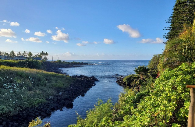 Honeymoon-View Sea Turtles From Your Deck-AC-Outdoor Shower-Free Access to Gym