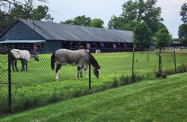 Horse Haven Track Rental for Belmont