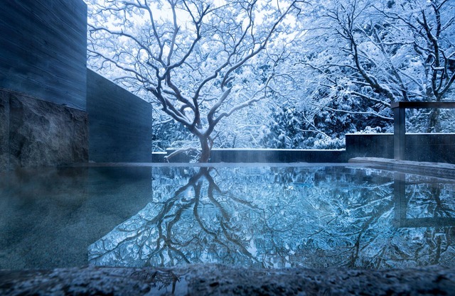 Hoshino Resorts KAI Sengokuhara