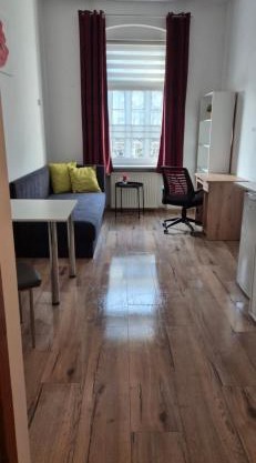 Hostel Tulip - pokój jednoosobowy nr 1 ze wspólną łazienką i kuchnią