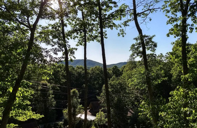 Hot Tub, Mtn View, High Speed WIFI- close to town yet away from it all !