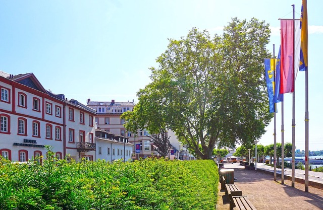 Hotel am Schloss Biebrich