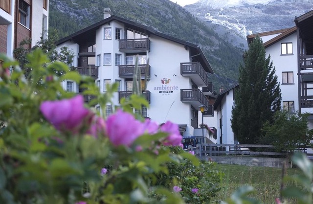 Hotel Ambiente