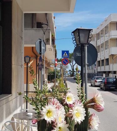 Hotel Blurelda