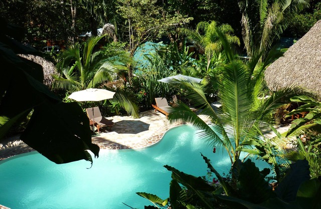 Hotel El Pequeño Gecko Verde