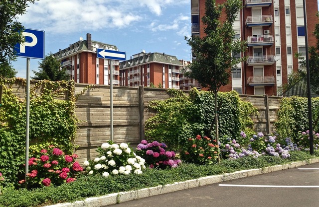Hotel Forum