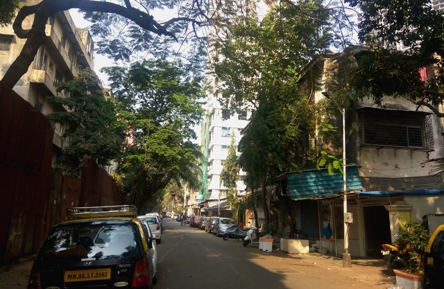 Oyo Hotel 