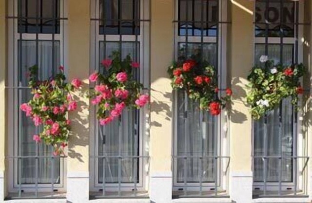 Hotel Lince