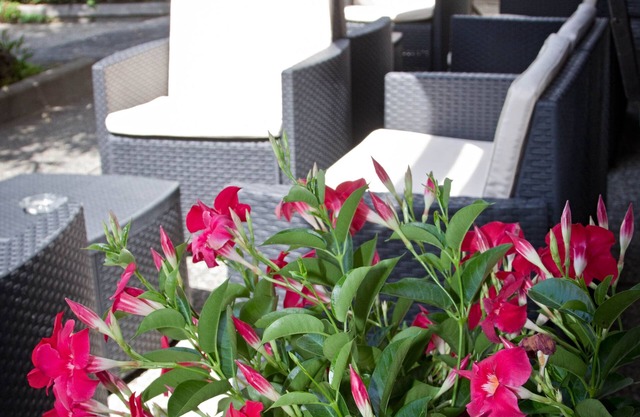 Hotel New Genziana