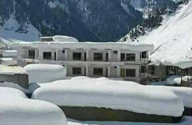 Hotel Oasis International