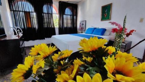 HOTEL OCCIDENTAL - DAVID CHIRIQUi