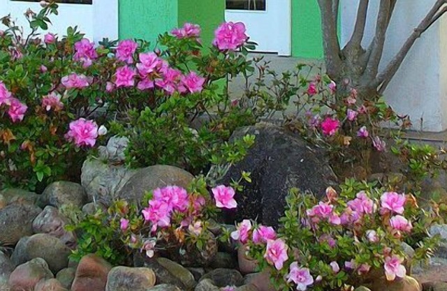 Hotel Porto de Paz