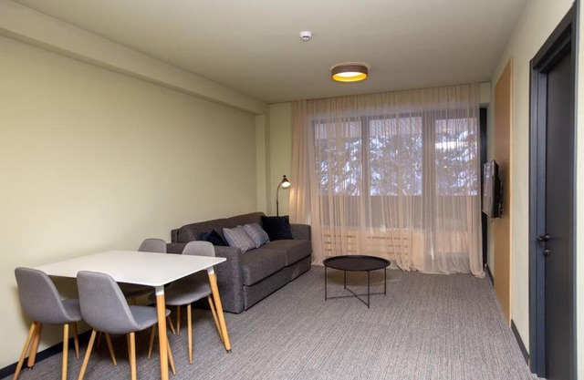 Hotel Quality One Bedroom Apartment In Bakuriani