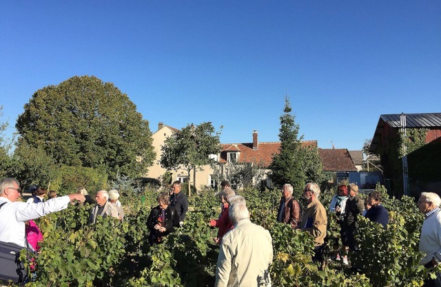 House in the heart of the village of Chablis