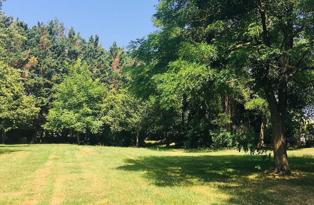 House of character in the heart of the vineyards - 4 people - very large wooded land