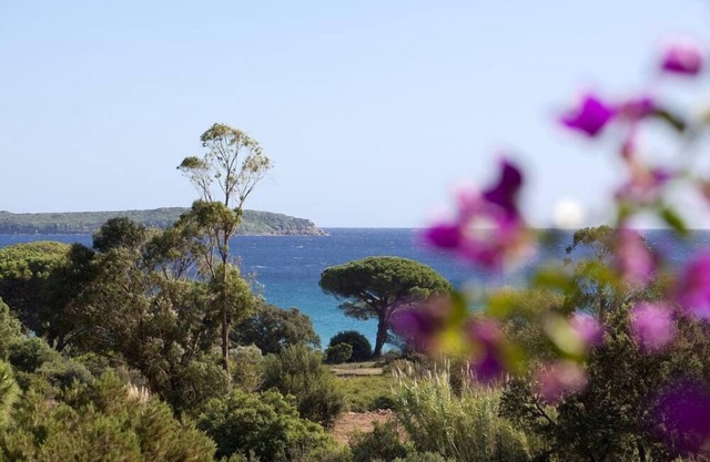 House/Villa - Porto Vecchio