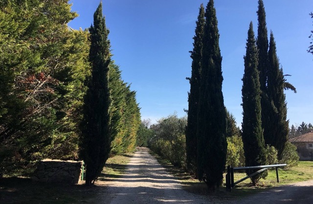 House with character in Provence