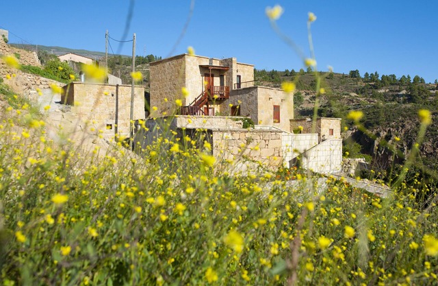 House with Traditional Wine Cellar and Private Garden in Arico – Pet Friendly