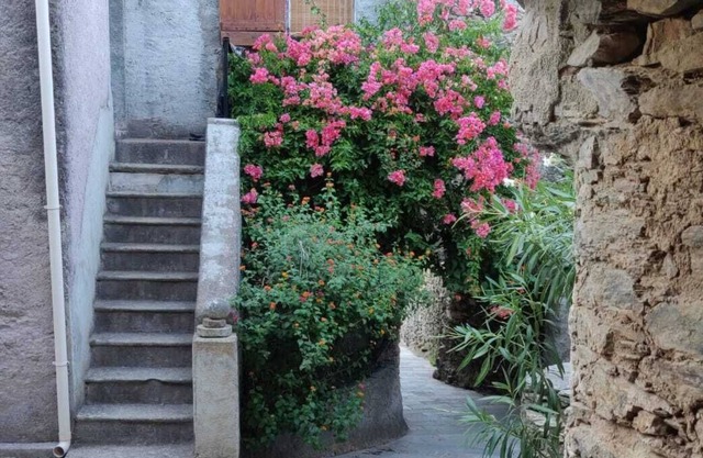 House with view of the island of GIRAGLIA