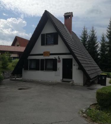 Hugo's House