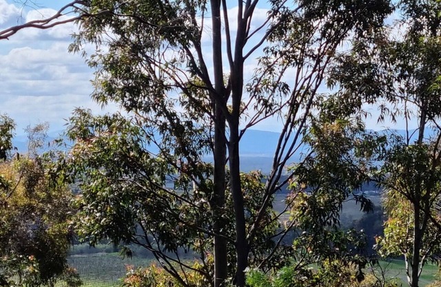 Hunter Valley conveniently located- 2 bedroom and 2 bathroom 2 story villa