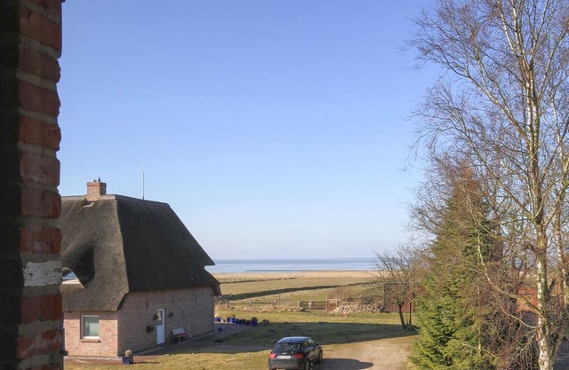 HUS329 Reethus Schobüll - Reethus Schobüll