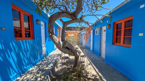Illariy Wasi Hostal