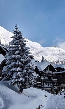 Imhof Alpine B&B Apartments